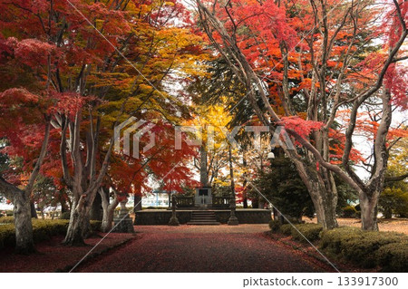 栃木縣:大山進山口的秋葉隧道 栃木縣:大山進山口的秋葉隧道 133917300