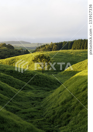 阿甦的早晨風景 133917336