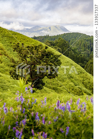 Morning scenery of Aso 133917337