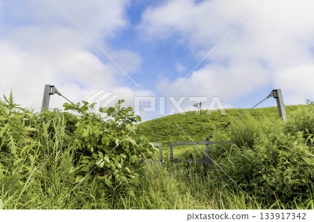 阿甦的早晨風景 133917342