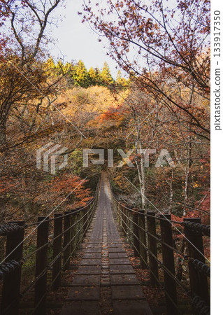 Hananuki Gorge in autumn colors, Takahagi City, Ibaraki Prefecture Hananuki Gorge in autumn colors, Takahagi City, Ibaraki Prefecture 133917350