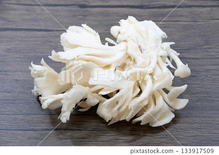 Shiloh maitake Shiloh maitake 133917509