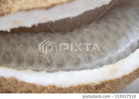 明美 明美 133917519