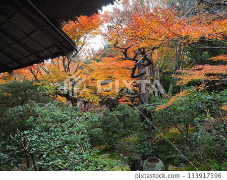 Kyoto_Enrian 133917596