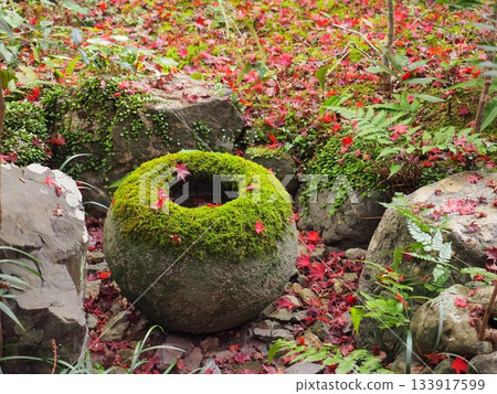 京都_安里安 133917599