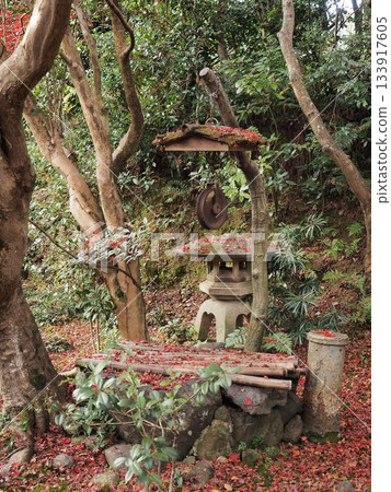 京都_安里安 133917605