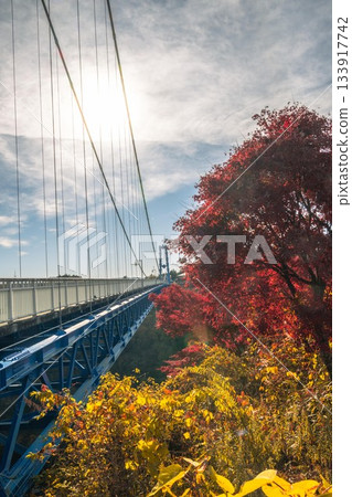 Hitachiota City, Ibaraki Prefecture: Autumn leaves at Ryujin Suspension Bridge Hitachiota City, Ibaraki Prefecture: Autumn leaves at Ryujin Suspension Bridge 133917742