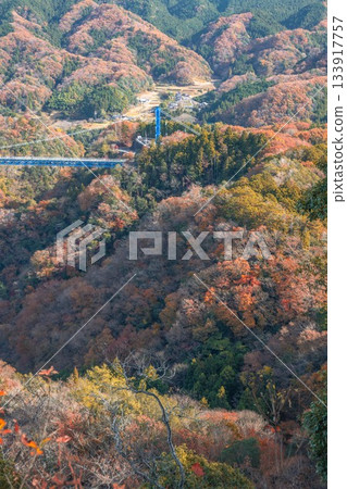 Hitachiota City, Ibaraki Prefecture: Autumn leaves at Ryujin Suspension Bridge 133917757