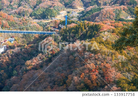 Hitachiota City, Ibaraki Prefecture: Autumn leaves at Ryujin Suspension Bridge 133917758
