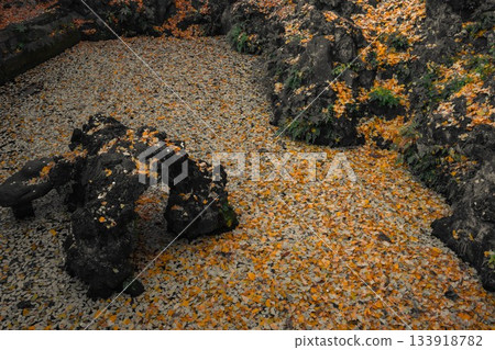 Naritasan Shinshoji Temple in autumn leaves, Narita City, Chiba Prefecture Naritasan Shinshoji Temple in autumn leaves, Narita City, Chiba Prefecture 133918782