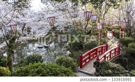 宇吹公園（倉吉市）的櫻花景色 133918991