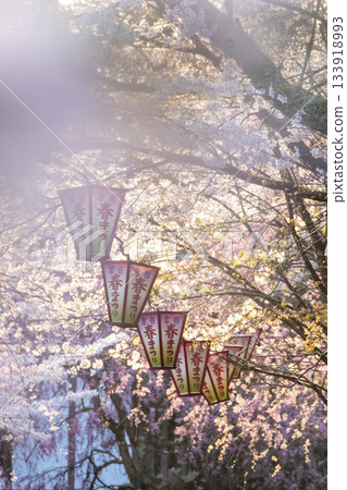 宇吹公園（倉吉市）的櫻花景色 133918993