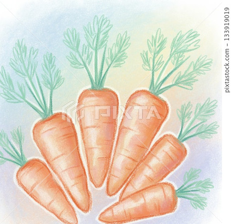 胡蘿蔔、胡蘿蔔葉、帶葉胡蘿蔔 133919019