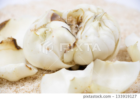 百合根 百合根 133919127