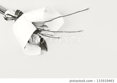 Demonstrating the colors of 2026 - Cloud Dancer. Bouquet with branches and leaves of magnolia and amaryllis in white wrapping paper with satin ribbon on white background with space for text. Demonstrating the colors of 2026 - Cloud Dancer. Bouquet with branches and leaves of magnolia and amaryllis in white wrapping paper with satin ribbon on white background with space for text. 133919463