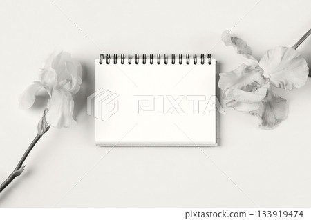 Demonstrating the colors of 2026 - Cloud Dancer. Opened blank notepad with flowers. Festive office desktop concept. Demonstrating the colors of 2026 - Cloud Dancer. Opened blank notepad with flowers. Festive office desktop concept. 133919474
