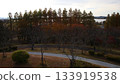 park in the evening sun 133919538