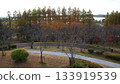 A park where the autumn leaves have begun to change color 133919539