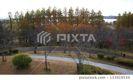 秋天的樹葉開始變色的公園 秋天的樹葉開始變色的公園 133919539