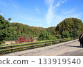 Refreshing autumn blue sky and park 133919540
