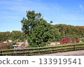 Blue sky 133919541