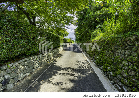Mihara Koji, Izumi Foothills, Izumi City, Kagoshima Prefecture 133919830