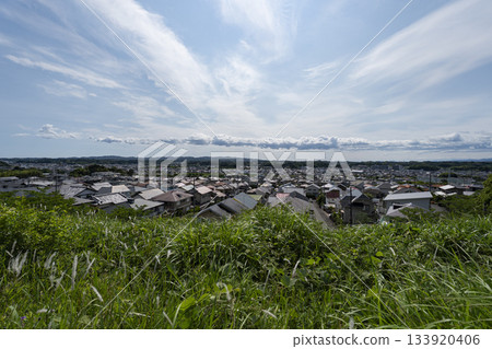 Early summer in Kikugawa City, Shizuoka Prefecture 133920406