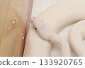 A snake 133920765
