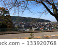 View of the city from the hill 133920768