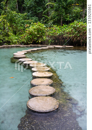 Ban Nam Rad Forested watersheds in Surat Thani, Thailand. Ban Nam Rad Forested watersheds in Surat Thani, Thailand. 133920861