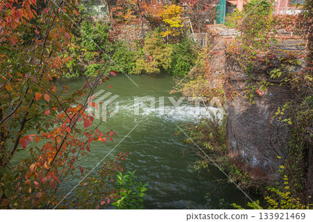 京都市琵琶湖運河，深秋時節 133921469