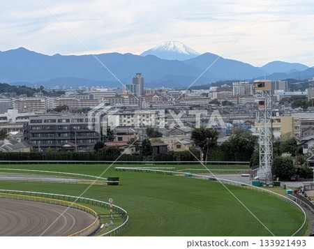Mt. Fuji from Tokyo Racecourse Mt. Fuji from Tokyo Racecourse 133921493