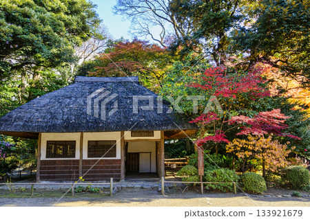 Tokyo Koishikawa Korakuen Garden Kuhachiya Autumn Leaves Scenery National Historic Site 133921679
