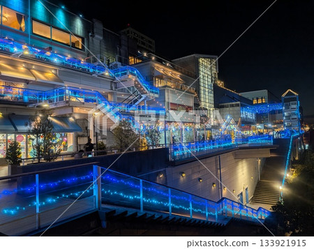 台場燈光秀和彩虹橋 133921915