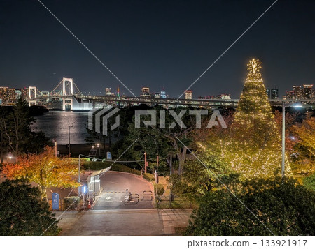 台場燈光秀和彩虹橋 133921917