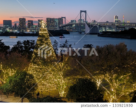 台場燈光秀和彩虹橋 台場燈光秀和彩虹橋 133921930