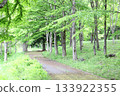 公園裡一條綠意盎然的步道 133922355