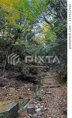 深秋時節,一片天然森林景觀,山間小徑鋪滿落葉,溪水潺潺流淌。 深秋時節,一片天然森林景觀,山間小徑鋪滿落葉,溪水潺潺流淌。 133922540