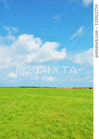 Hokkaido: Blue skies and fresh green grasslands Hokkaido: Blue skies and fresh green grasslands 133922759