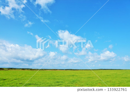 Hokkaido: Blue skies and fresh green grasslands Hokkaido: Blue skies and fresh green grasslands 133922761