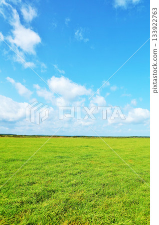 Hokkaido: Blue skies and fresh green grasslands Hokkaido: Blue skies and fresh green grasslands 133922763