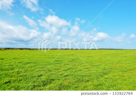 Hokkaido: Blue skies and fresh green grasslands 133922764