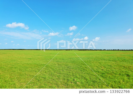 Hokkaido: Blue skies and fresh green grasslands Hokkaido: Blue skies and fresh green grasslands 133922766