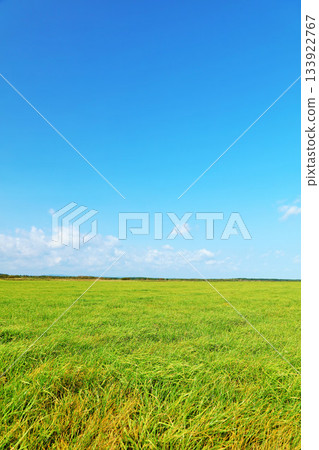 北海道:藍天白雲、綠草如茵 北海道:藍天白雲、綠草如茵 133922767
