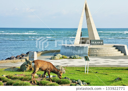 Hokkaido: Cape Soya with its blue sky and ocean, and Ezo deer 133922771