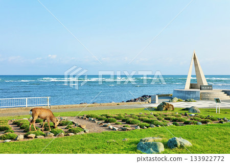 北海道:藍天碧海的宗谷岬和蝦夷鹿 北海道:藍天碧海的宗谷岬和蝦夷鹿 133922772