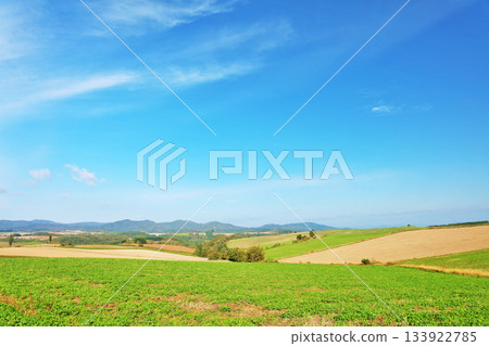 Hokkaido Autumn blue sky and Biei scenery 133922785