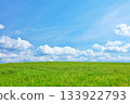 北海道夏日藍天與清新綠草甸風光 133922793