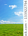 北海道夏日藍天與清新綠草甸風光 133922794