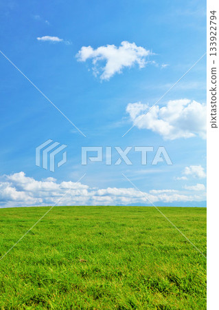 北海道夏日藍天與清新綠草甸風光 133922794